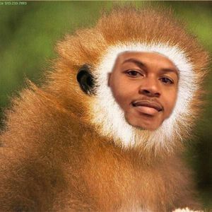 Meet your Posher, Clifton